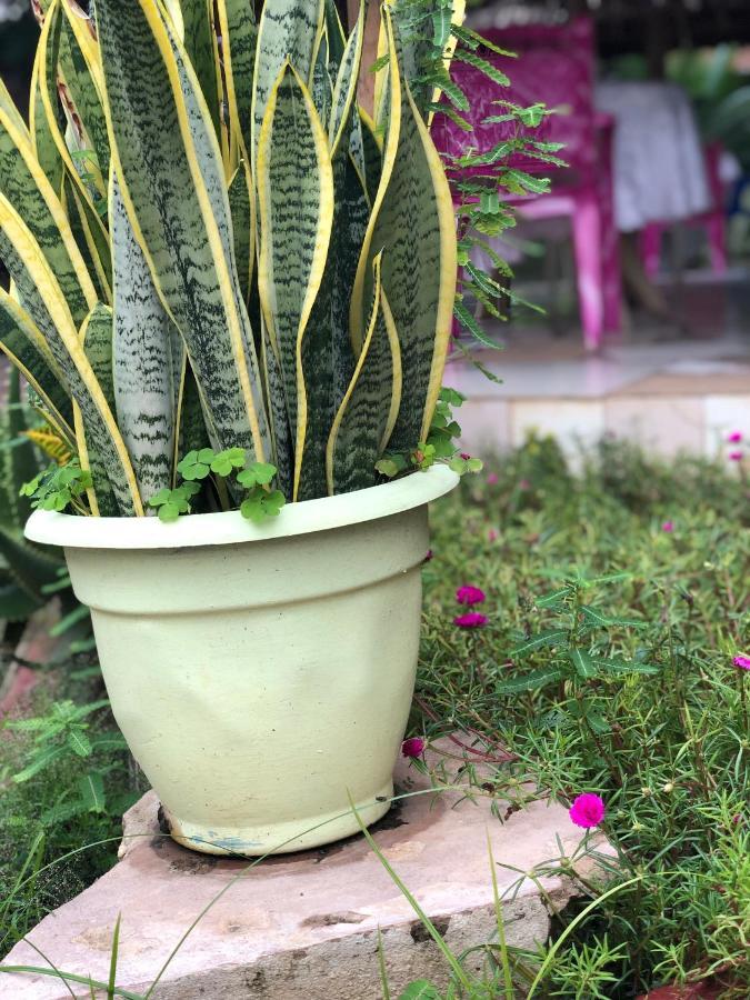 L&J Modern Backpackers Kinondoni Dar es Salaam Exterior foto