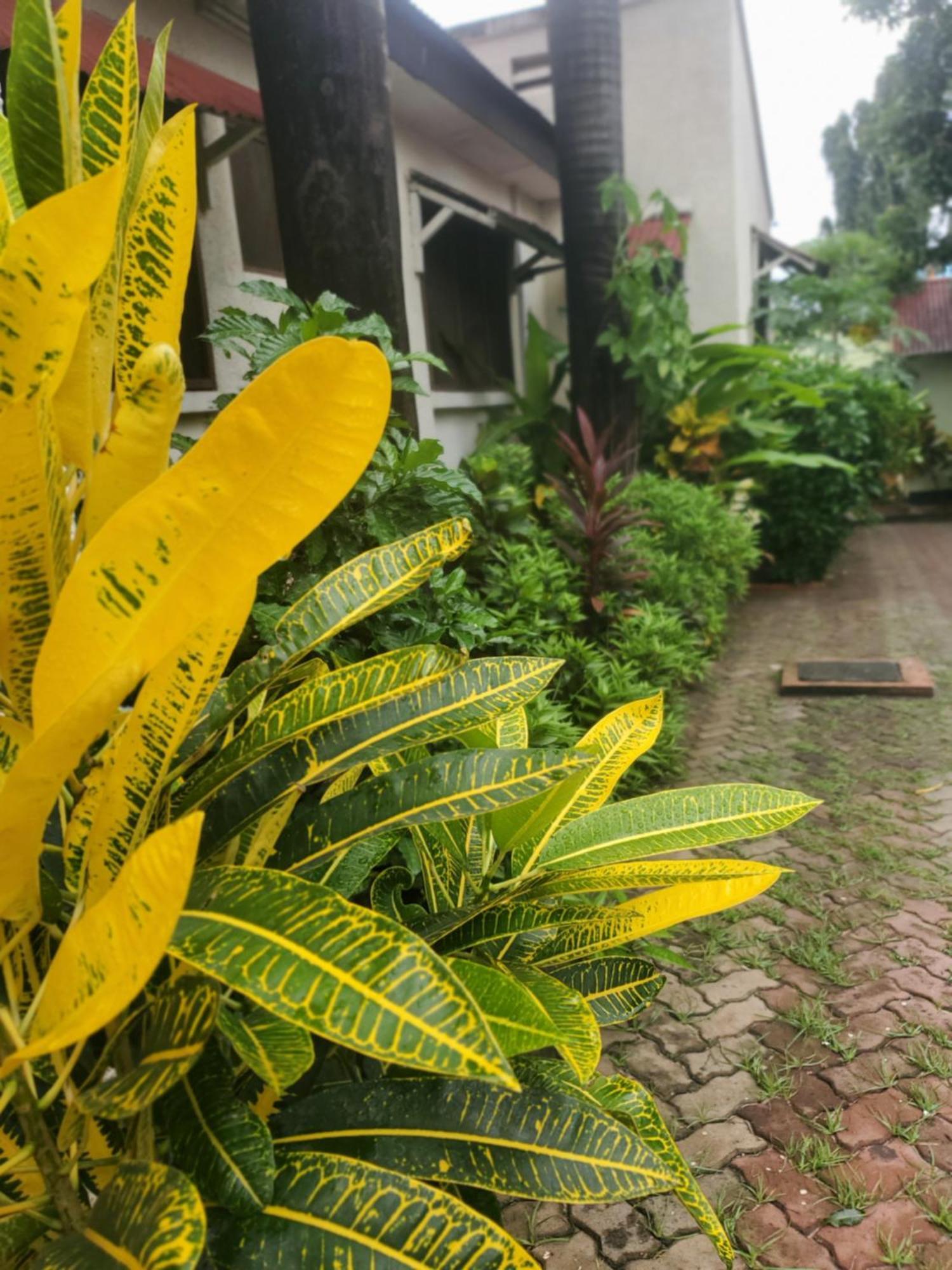 L&J Modern Backpackers Kinondoni Dar es Salaam Exterior foto